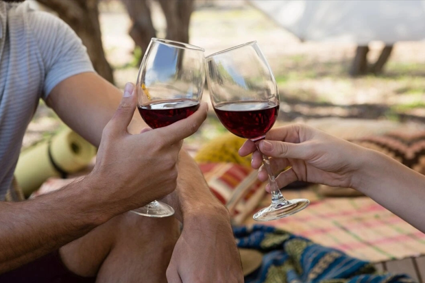 Best Wine Tours in Austin, TX