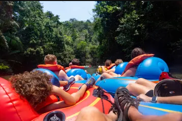 a group of people in a forest