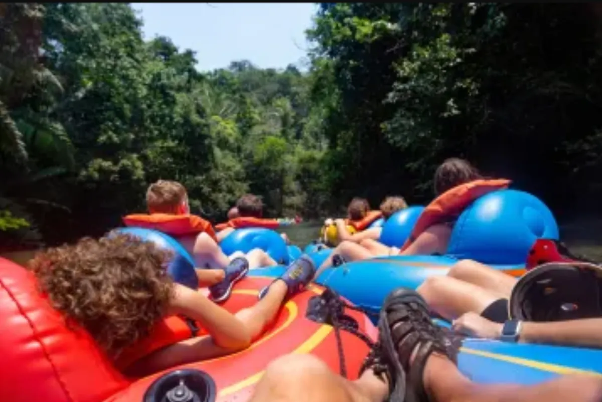 a group of people in a forest