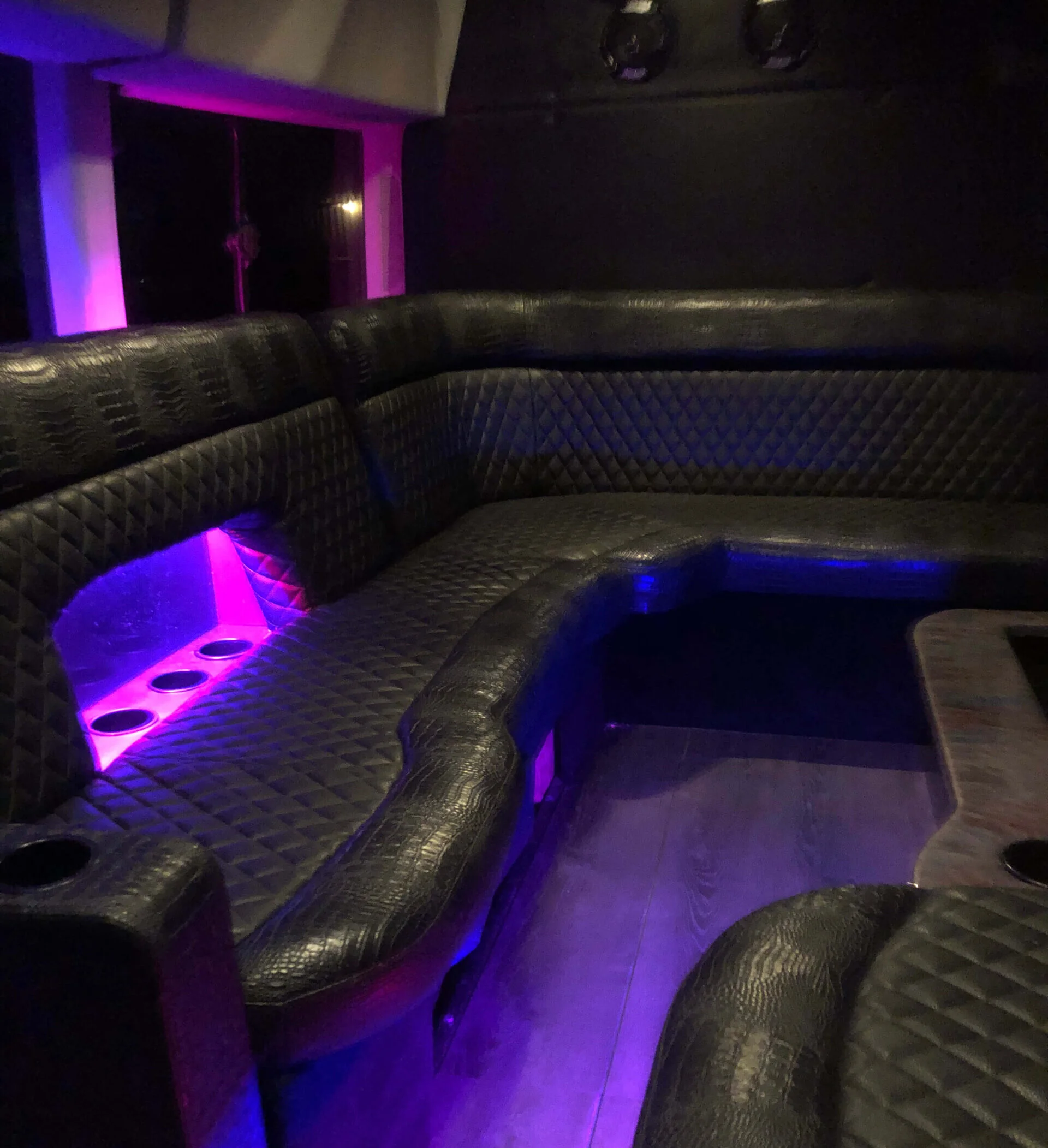 10 Passenger Party Van view 2