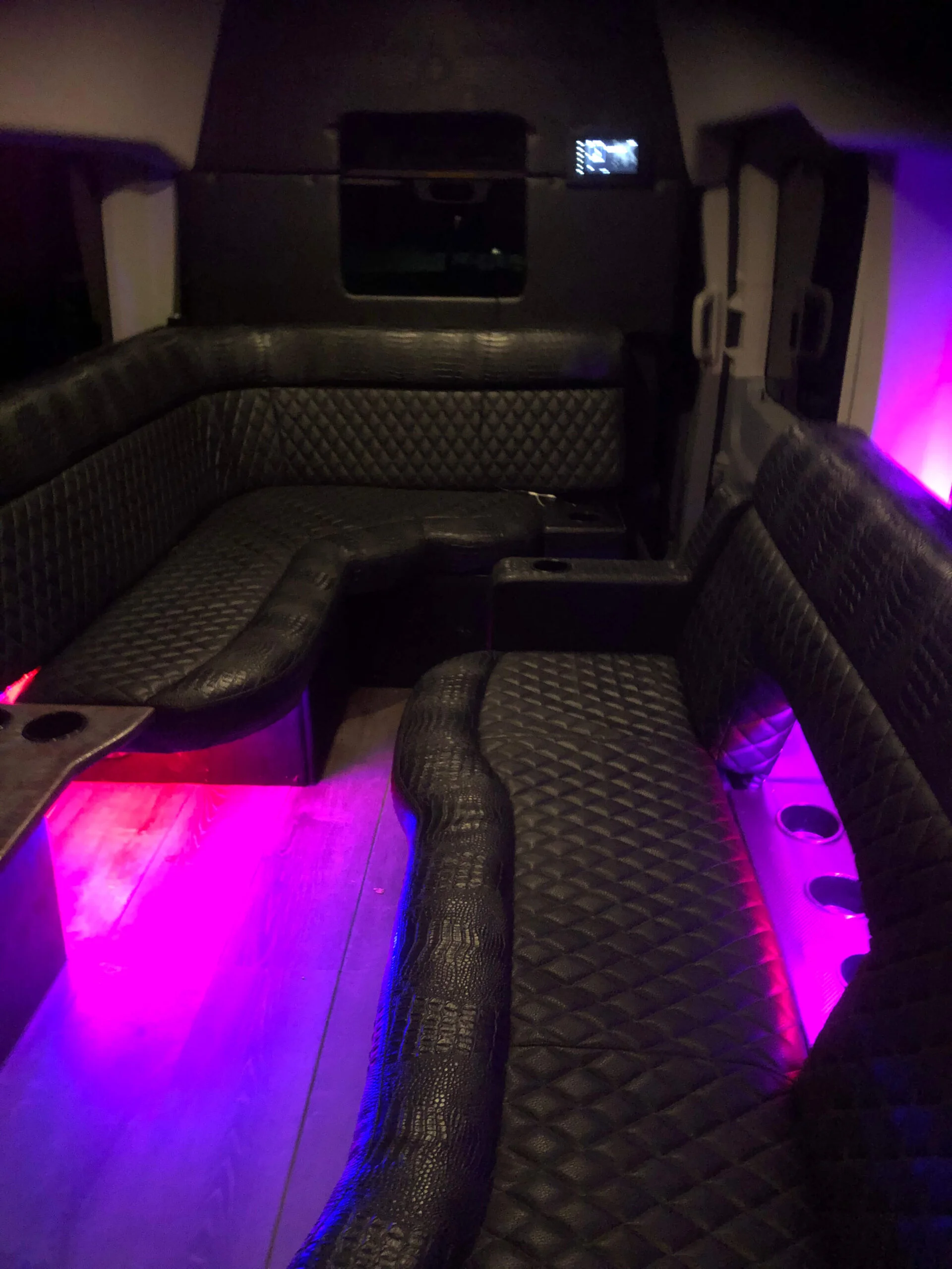 10 Passenger Party Van view 3