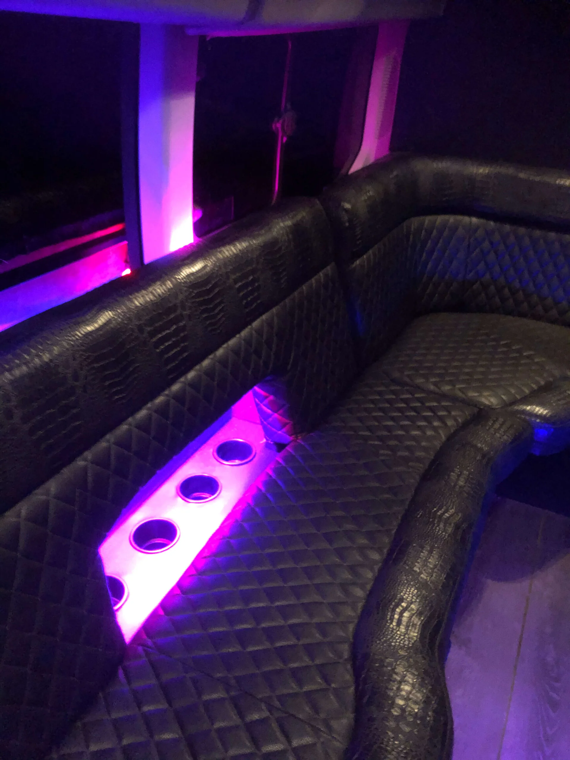 10 Passenger Party Van view 4