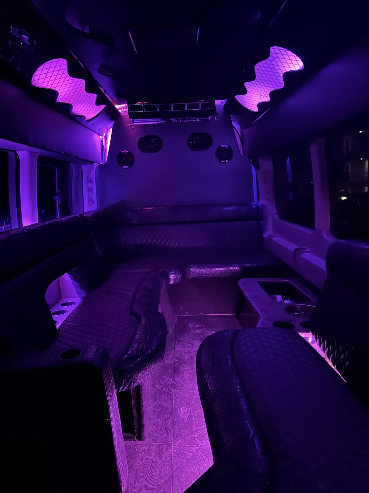 10 Passenger Party Van view 8