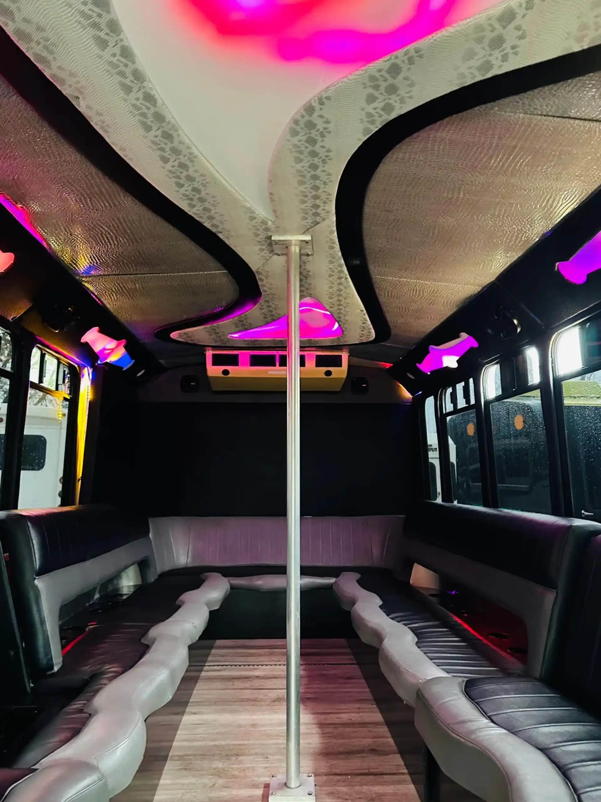 20 Passenger Party Bus view 3