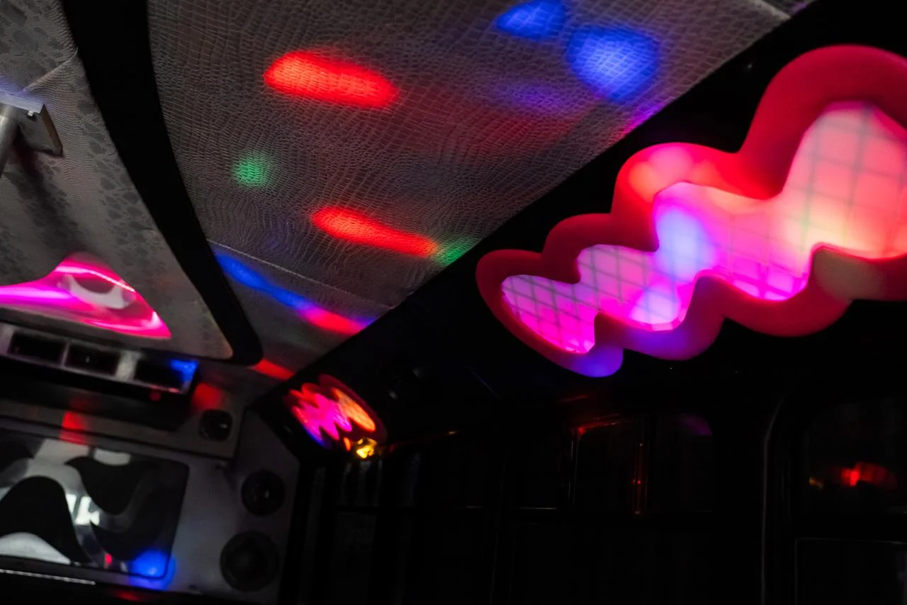 20 Passenger Party Bus view 4