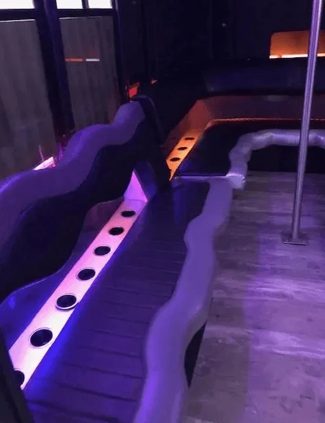 Prince party bus LED ceiling