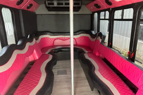 16 Passenger Party Bus