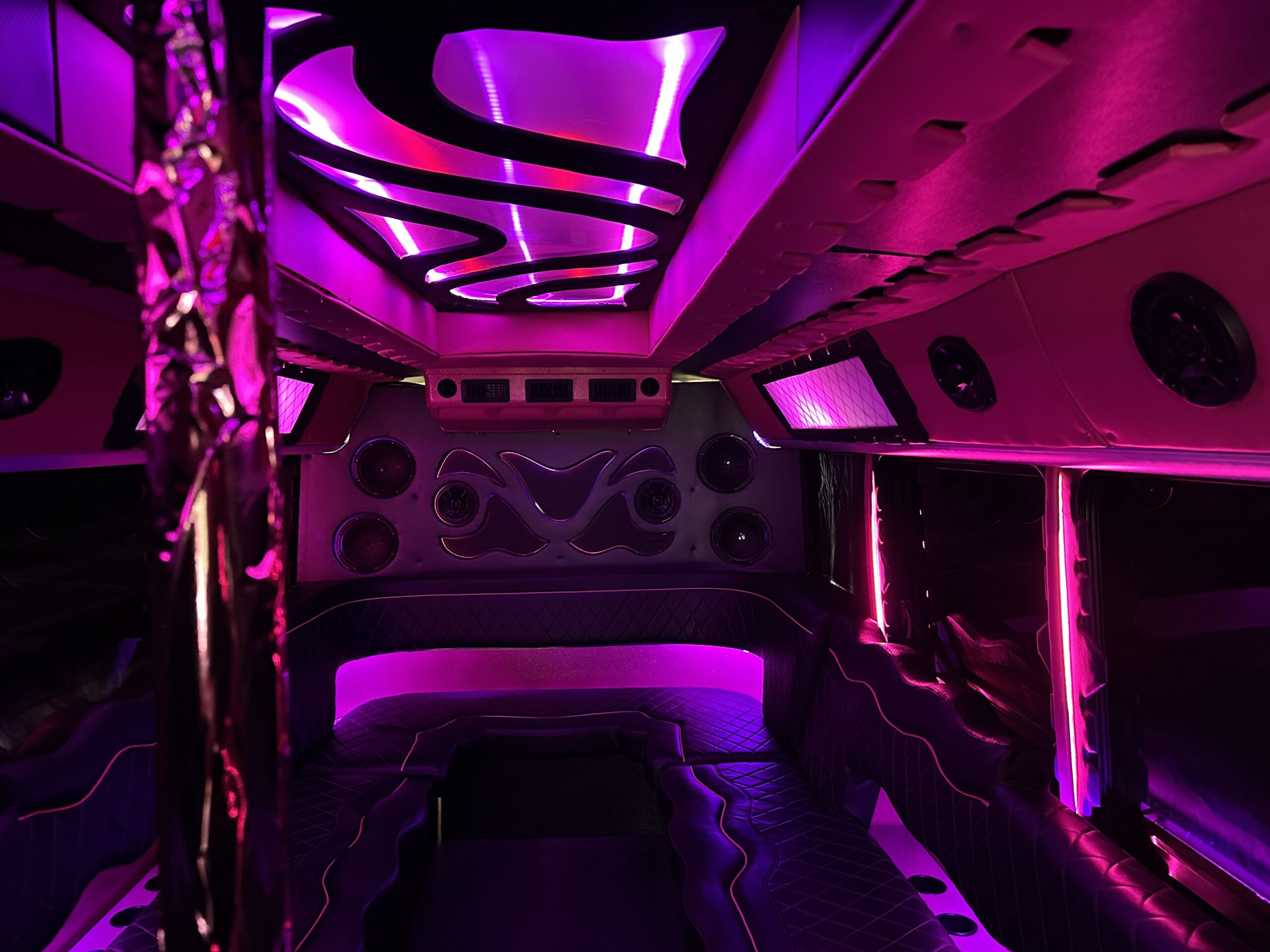 24 passenger Austin Party Bus